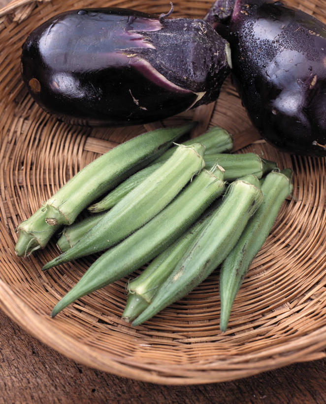 无人,交叉,竖图,俯视,室内,特写,白天,竹子,茄子,蔬菜,一堆,许多,阴影,堆叠,堆积,竹制,新鲜,编织,反射,篮子,影子,秋葵,食品,很多,食物,两个,一个,绿色,紫色,竹篮,有机食品,绿色食品,单个,竹条,堆,交织,竹制品,毛茄,羊角豆,黄秋葵,咖啡黄葵,穿插,落苏,酪酥,昆仑瓜,矮瓜,彩图,高角度拍摄,羊角菜