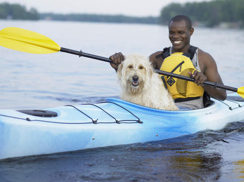 皮划艇,西方人,一个人,坐,横图,室外,白天,正面,树林,水,植物,船,宠物,狗,欧洲,非洲,黑人,欧洲人,仅一个男性,仅一个人,船桨,拿,拉布拉多,拿着,注视,娱乐,拉布拉多猎犬,树,树木,仅一个年轻男性,一只,绿色,蓝天,天空,自然,动物,湖水,天,观察,看,享受,休闲,放松,可爱,观看,察看,关注,拉布拉多犬,忠诚,男人,男性,年轻男性,非洲人,犬,玩耍,坐着,半身,彩图,健身,艇