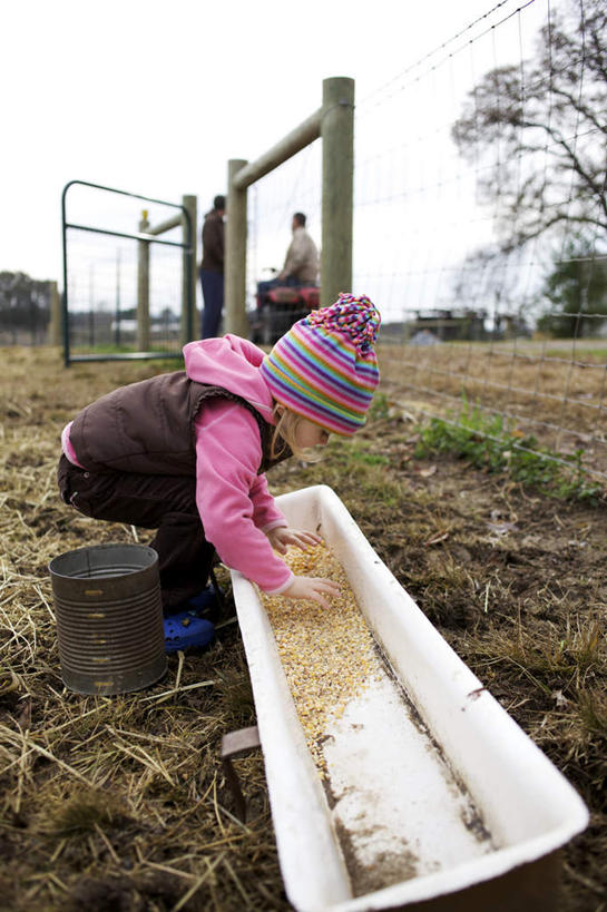 西方人,儿童,一个人,站,竖图,室外,白天,侧面,纯洁,草地,草坪,植物,帽子,欧洲,欧洲人,仅一个女性,仅一个人,弯腰,握,服装,拿,拿着,注视,休闲装,草,树,树木,小孩,衣服,绿色,自然,观察,看,站着,仅一个小孩,休闲,休闲服,可爱,童年,童趣,握着,服饰,生长,成长,观看,察看,关注,童真,烂漫,无邪,弯身,棉帽,食槽,饲料槽,天真,女孩,女人,女性,白种人,孩子,站立,彩图,全身,女生