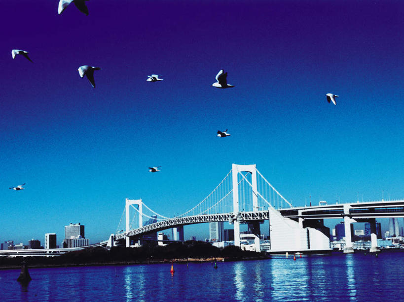 无人,高楼大厦,横图,全景,室外,白天,仰视,度假,办公楼,海浪,海洋,美景,天际线,城市风光,城市,大桥,大厦,建筑,立交桥,摩天大楼,桥梁,写字楼,海鸟,海鸥,鸟,东京,日本,亚洲,许多,飞翔,伸展,张开,展翅,阴影,飞行,光线,翅膀,鸟类,影子,景观,浪花,高架,斜拉桥,桥,彩虹大桥,很多,翱翔,娱乐,飞舞,蓝色,蓝天,天空,阳光,海水,楼宇,天,享受,休闲,商务楼,景色,放松,晴朗,海景,东亚,张开翅膀,本州,万里无云,关东地方,本州岛,日本国,东京都,日本彩虹大桥,遨游,漫游,展开翅膀,大海,风浪,海,海水的波动,近岸浪,涌浪,晴空,晴空万里,彩图,低角度拍摄,全身,大楼,高层建筑,高楼,摩天楼