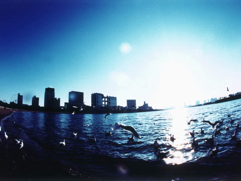 无人,高楼大厦,横图,全景,室外,白天,广角镜头,鱼眼镜头,仰视,度假,办公楼,海浪,海洋,美景,天际线,城市风光,城市,大厦,建筑,摩天大楼,写字楼,海鸟,海鸥,鸟,东京,日本,亚洲,飞翔,伸展,张开,展翅,阴影,飞行,光线,翅膀,鸟类,影子,景观,浪花,翱翔,娱乐,飞舞,蓝色,蓝天,天空,阳光,海水,楼宇,天,享受,休闲,商务楼,景色,放松,晴朗,海景,东亚,张开翅膀,本州,万里无云,关东地方,本州岛,日本国,东京都,遨游,漫游,展开翅膀,大海,风浪,海,海水的波动,近岸浪,涌浪,晴空,晴空万里,彩图,低角度拍摄,全身,眩光,大楼,高层建筑,高楼,摩天楼