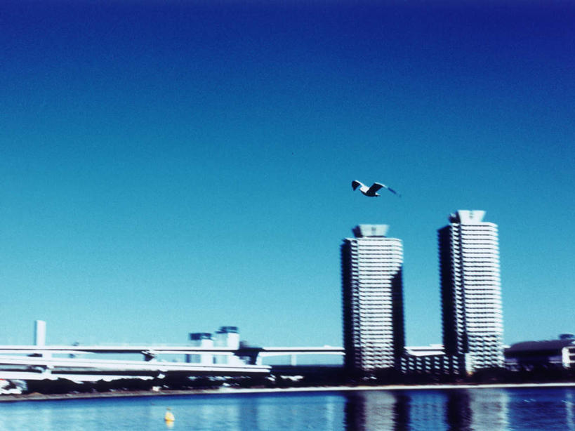 无人,高楼大厦,横图,全景,室外,白天,仰视,度假,办公楼,海浪,海洋,美景,天际线,城市风光,城市,大桥,大厦,建筑,立交桥,摩天大楼,桥梁,写字楼,东京,日本,亚洲,阴影,光线,影子,景观,浪花,高架,斜拉桥,桥,娱乐,蓝色,蓝天,天空,阳光,海水,楼宇,天,享受,休闲,商务楼,景色,放松,晴朗,海景,东亚,本州,万里无云,关东地方,本州岛,日本国,东京都,县厅,港区,东京市,大海,风浪,海,海水的波动,近岸浪,涌浪,晴空,晴空万里,彩图,低角度拍摄,大楼,高层建筑,高楼,摩天楼