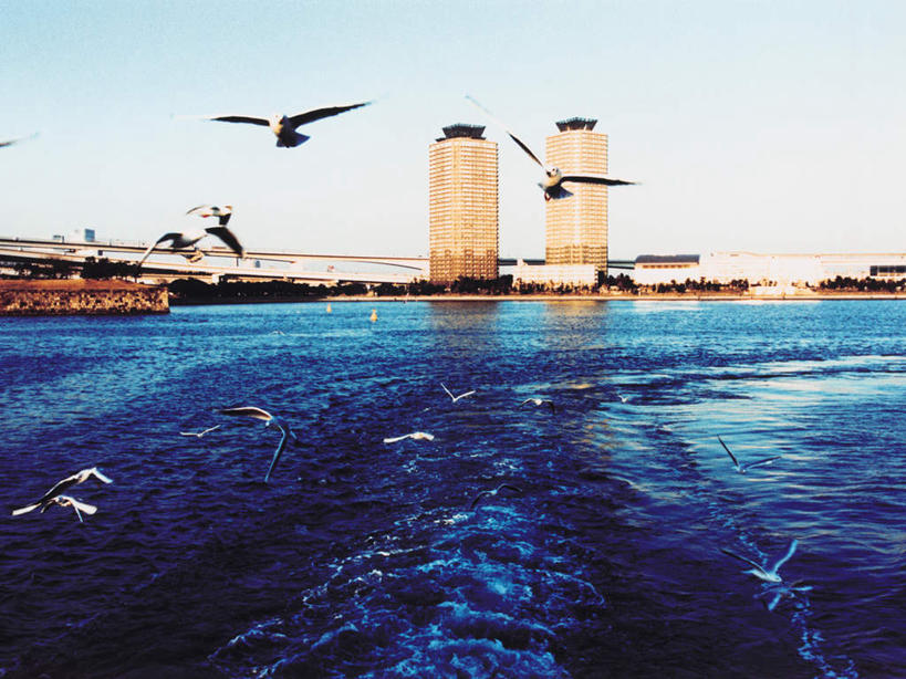 无人,高楼大厦,横图,全景,室外,白天,正面,度假,办公楼,海浪,海洋,美景,天际线,城市风光,城市,大厦,建筑,摩天大楼,写字楼,海鸟,海鸥,鸟,东京,日本,亚洲,许多,飞翔,伸展,张开,展翅,阴影,飞行,光线,翅膀,鸟类,影子,景观,浪花,很多,翱翔,娱乐,飞舞,蓝色,蓝天,天空,阳光,海水,楼宇,天,享受,休闲,商务楼,景色,放松,晴朗,海景,东亚,张开翅膀,本州,万里无云,关东地方,本州岛,日本国,东京都,县厅,港区,东京市,遨游,漫游,展开翅膀,大海,风浪,海,海水的波动,近岸浪,涌浪,晴空,晴空万里,半身,彩图,大楼,高层建筑,高楼,摩天楼