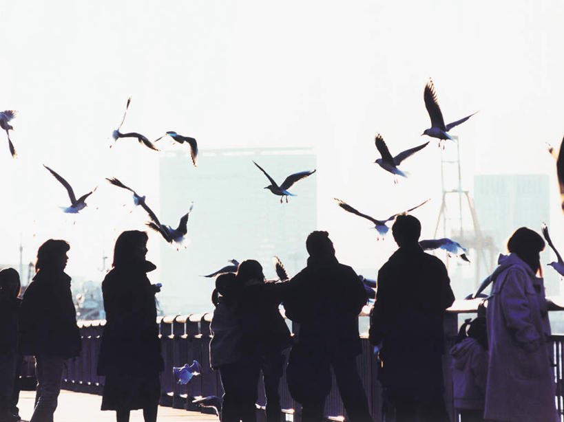 东方人,高楼大厦,栏杆,站,横图,室外,白天,度假,办公楼,美景,城市风光,城市,大厦,建筑,摩天大楼,写字楼,海鸟,海鸥,鸟,东京,日本,亚洲,一群,许多,行人,游客,游人,飞翔,伸展,张开,展翅,服装,飞行,翅膀,鸟类,景观,围栏,很多,许多人,背光,翱翔,注视,休闲装,黄种人,娱乐,飞舞,护栏,路人,旅客,背面,衣服,楼宇,观察,看,站着,一群人,享受,休闲,休闲服,商务楼,景色,放松,服饰,观看,察看,关注,逆光,东亚,张开翅膀,本州,关东地方,本州岛,日本国,东京都,遨游,漫游,展开翅膀,过客,男人,男性,女人,女性,中年男性,中年女性,亚洲人,站立,半身,彩图,大楼,高层建筑,高楼,摩天楼