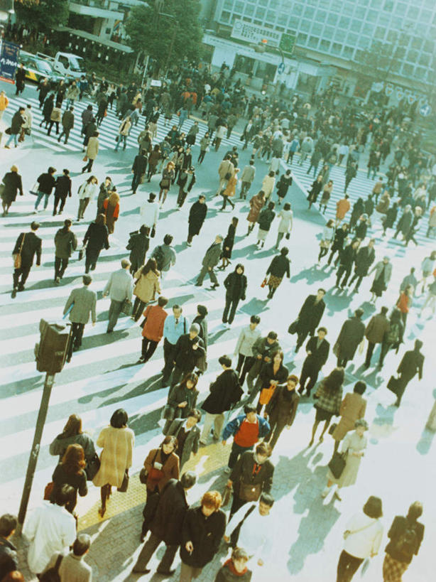 东方人,走,竖图,俯视,室外,白天,度假,美景,树林,植物,城市风光,城市,道路,路,路灯,人行横道,公路,照明,亚洲,行人,游客,游人,阴影,服装,朦胧,模糊,光线,影子,景观,人行道,灯光,交通,许多人,注视,休闲装,黄种人,娱乐,路人,旅客,灯,树,树木,衣服,绿色,阳光,自然,观察,看,一群人,享受,休闲,休闲服,景色,放松,服饰,生长,成长,观看,照亮,察看,照明设备,关注,人行横道线,过客,男人,男性,年轻男性,年轻女性,女人,女性,中年男性,中年女性,亚洲人,斑马线,马路,步行,散步,走路,半身,彩图,高角度拍摄