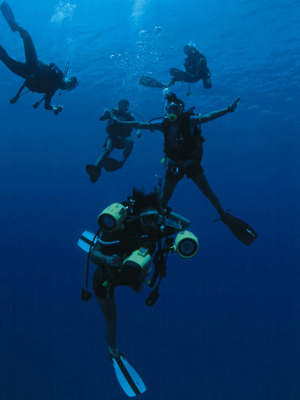 游泳,东方人,伙伴,朋友,伸展双臂,竖图,室外,白天,正面,锻炼,友谊,运动,合作,团队,海底,水下,海浪,海洋,亚洲,五个人,潜水员,服装,潜水镜,泳镜,浪花,水底,许多人,注视,黄种人,衣服,海水,观察,看,一群人,蛙鞋,氧气罩,战略,海底世界,潜水服,潜水,服饰,观看,张开双腿,脚蹼,呼吸管,察看,衣着,穿着,关注,潜水装备,海景,面镜,浮潜,潜水运动,联合,合谋,衣饰,水中呼吸器,展开双腿,配合,体育,协作,男人,男性,年轻男性,年轻女性,女人,女性,亚洲人,大海,风浪,海,海床,海水的波动,近岸浪,涌浪,敞开双臂,伸开双臂,展开双肩,张开手臂,张开双臂,半身,彩图,健身,湿式潜水服,伸展双腿