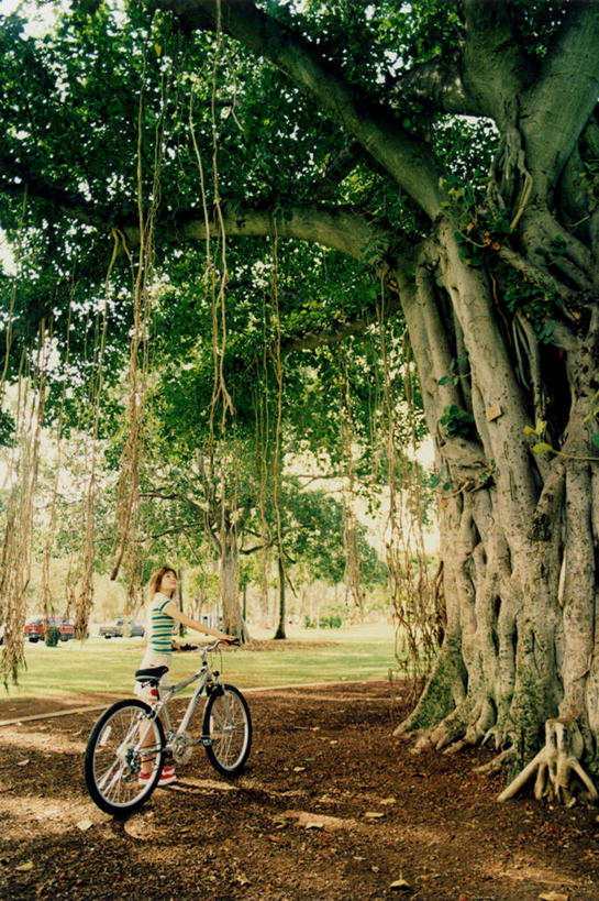 东方人,一个人,站,竖图,室内,白天,侧面,旅游,度假,美景,森林,树林,植物,道路,路,自行车,亚洲,仅一个年轻女性,仅一个女性,仅一个人,服装,景观,小路,交通,扭头,注视,休闲装,黄种人,娱乐,车,脚踏车,树,树木,衣服,绿色,自然,交通工具,扶,观察,看,站着,转头,享受,休闲,休闲服,景色,放松,服饰,乡间小路,生长,成长,观看,察看,扶着,关注,自然风光,载具,年轻女性,女人,女性,亚洲人,站立,彩图,全身