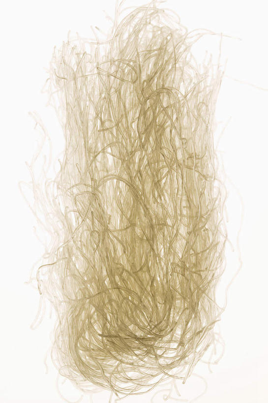 面食,面条,无人,竖图,室内,特写,白天,白色背景,正面,一堆,许多,阴影,堆叠,堆积,环绕,缠绕,反射,影子,面,粉丝,白色,摄影,影棚,堆,纠缠,冬粉,彩图,影棚拍摄,拍摄