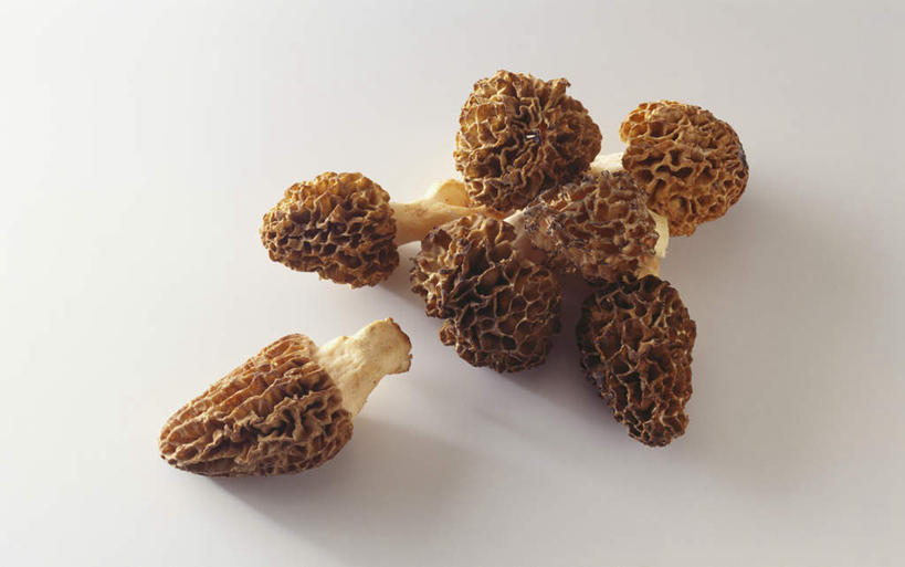 无人,横图,俯视,室内,特写,白天,白色背景,桌面,桌子,蔬菜,一堆,阴影,堆叠,堆积,新鲜,反射,木制,影子,菌菇,食品,菌类,食物,木制品,食用菌,摄影,有机食品,绿色食品,影棚,堆,羊肚菇,羊肚菜,羊肚菌,羊蘑,美味羊肚菌,彩图,高角度拍摄,影棚拍摄,拍摄