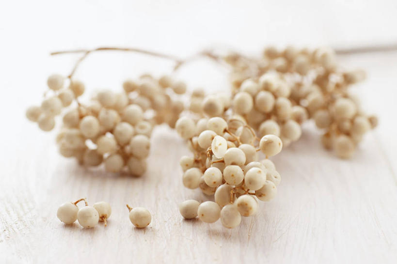 无人,横图,俯视,室内,特写,白天,白色背景,一堆,许多,阴影,堆叠,堆积,朦胧,模糊,反射,影子,调料,调味,香料,佐料,调味品,调味料,摄影,影棚,堆,白胡椒,配料,作料,胡椒,彩图,高角度拍摄,影棚拍摄,拍摄