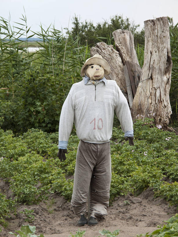 无人,农场,竖图,室外,白天,正面,旅游,度假,畜牧业,牧场,草地,草坪,美景,植物,德国,欧洲,服装,景观,稻草,休闲装,娱乐,稻草人,草,树,树木,衣服,绿色,自然,享受,休闲,休闲服,景色,放松,服饰,生长,成长,西欧,自然风光,畜牧,德意志联邦共和国,牧业,偶人,彩图