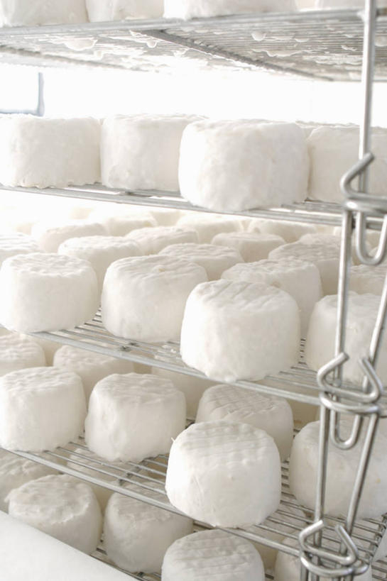 奶酪,无人,竖图,室内,白天,正面,一排,许多,整齐,并列,并排,电器,冰箱,干酪,起司,芝士,很多,营养,置物架,冷冻,冷柜,架子,排列,白色,冷藏柜,乳酪,冷藏,储藏,卫生,乳制品,家电,家用电器,队列,陈列架,平行,发酵,纯真,山羊奶酪,保鲜,洁净,光明,恬静,中间色,朴素,清白,搁架,彩图