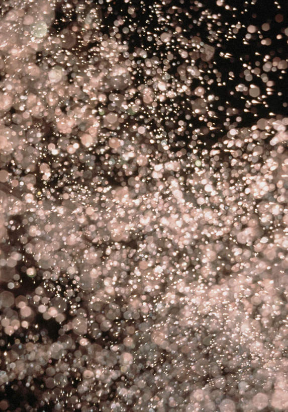 无人,竖图,室内,特写,白天,正面,许多,黑色背景,朦胧,模糊,粉末,粉色,粉,摄影,影棚,灰尘,粉状,彩图,影棚拍摄,拍摄