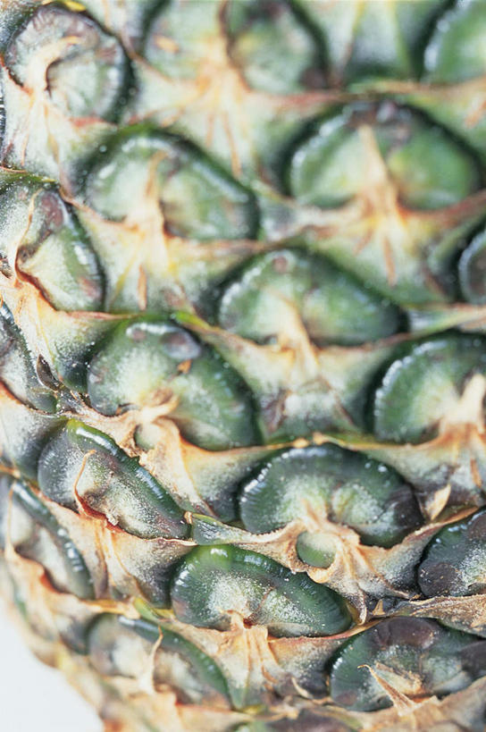 无人,竖图,俯视,室内,特写,白天,白色背景,阴影,光线,纹路,纹理,影子,坚果,果实,松果,一个,绿色,干果,摄影,影棚,松塔,肌理,彩图,高角度拍摄,影棚拍摄,拍摄