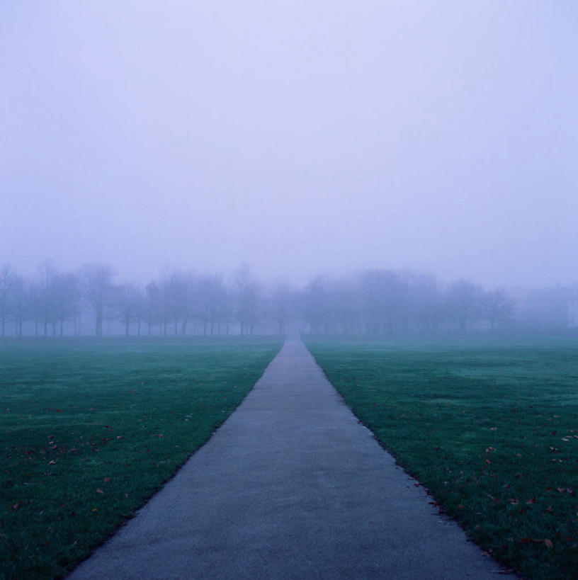 无人,竖图,室外,白天,正面,旅游,度假,草地,草坪,美景,树林,植物,雾,道路,路,一条,阴影,朦胧,模糊,光线,影子,景观,小路,交通,娱乐,草,树,树木,绿色,阳光,自然,享受,休闲,景色,放松,生长,成长,迷雾,笔直,自然风光,笔挺,大雾,彩图