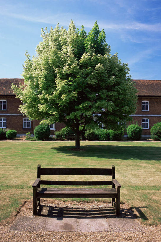无人,家,竖图,室外,白天,正面,度假,草地,草坪,美景,植物,城市风光,城市,椅子,英国,欧洲,一把,阴影,光线,影子,房屋,木椅,屋子,景观,云,云朵,公寓,云彩,娱乐,洋房,楼房,英格兰,住宅,草,树,树木,蓝色,绿色,白云,蓝天,天空,阳光,自然,天,享受,休闲,景色,放松,生长,晴朗,成长,西欧,大不列颠,大不列颠及北爱尔兰联合王国,大不列颠联合王国,日不落英帝国,英吉利,赫特福德郡,晴空,彩图,房子