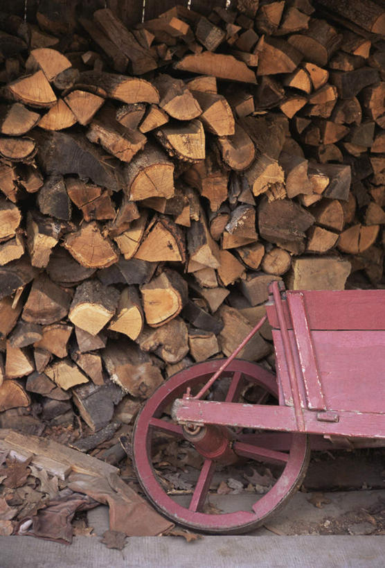 无人,农场,竖图,室外,白天,正面,一排,许多,整齐,木材,仓库,车,木柴,排列,手推车,交通工具,木料,独轮车,堆,队列,载具,彩图