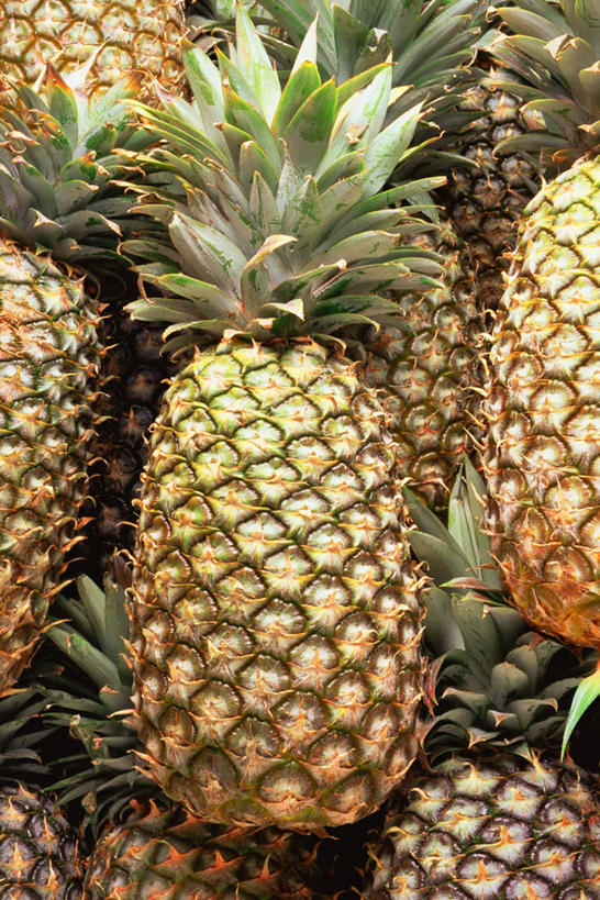 无人,竖图,室内,特写,白天,正面,菠萝,水果,叶子,一堆,许多,堆叠,堆积,新鲜,生食,食品,果实,绿叶,食物,嫩叶,有机食品,绿色食品,堆,叶,叶片,凤梨,彩图