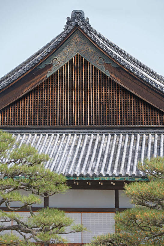 无人,家,竖图,室外,白天,正面,植物,建筑,京都,日本,亚洲,瓦片,堡垒,城堡,房屋,屋子,瓦,楼房,住宅,树,树木,绿色,自然,建造,京都府,生长,成长,要塞,东亚,屋瓦,本州,本州岛,日本国,近畿地方,近畿,设防,彩图,房子