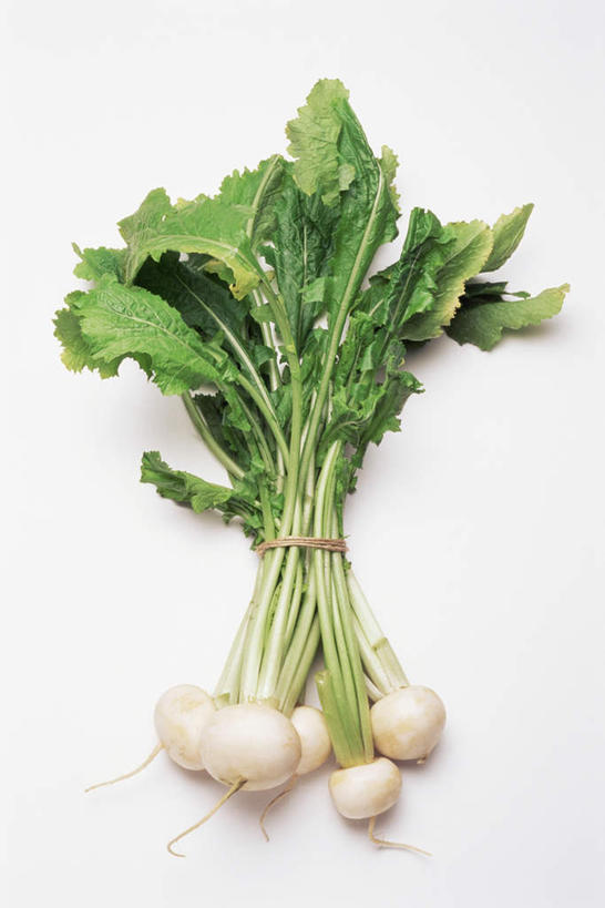 无人,竖图,俯视,室内,特写,白天,白色背景,萝卜,白萝卜,蔬菜,许多,阴影,新鲜,反射,影子,食品,食物,草绳,绳子,摄影,有机食品,绿色食品,影棚,捆绑,绳索,绑缚,稻草绳,莱菔,彩图,高角度拍摄,影棚拍摄,拍摄