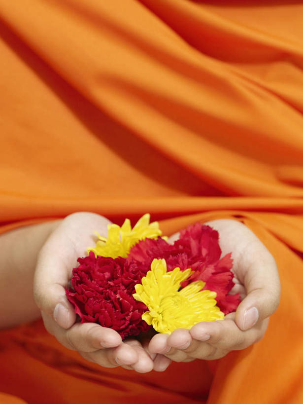 手,一个人,站,捧,竖图,室内,特写,白天,正面,亚洲,双手,仅一个年轻女性,仅一个女性,仅一个人,盛开,花蕾,花,花瓣,花朵,鲜花,黄色,红色,花苞,花蕊,站着,手部,橙色,袈裟,法衣,年轻女性,女人,女性,亚洲人,印度人,端,端着,捧着,手捧,站立,半身,彩图,僧衣