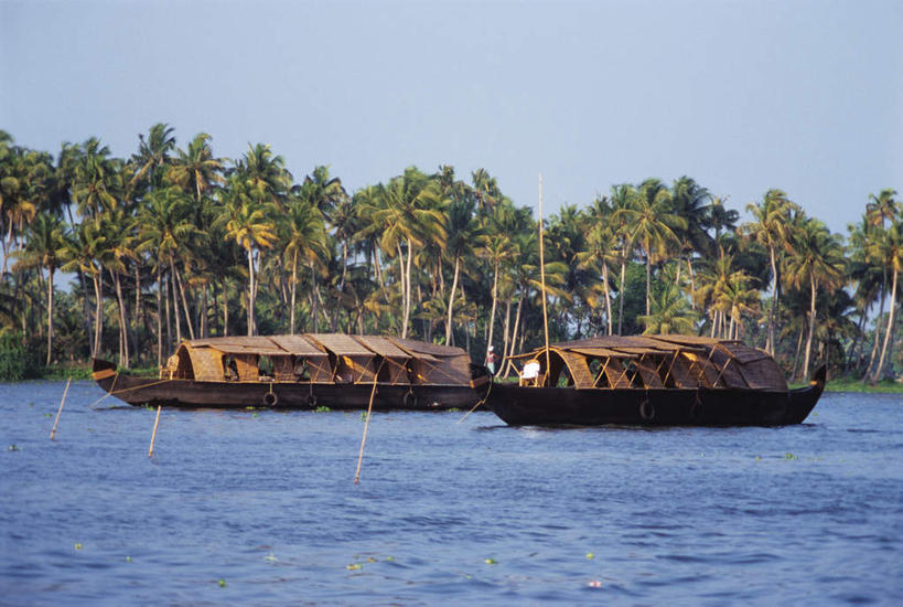 无人,横图,室外,白天,正面,旅游,度假,美景,植物,轮船,船,棕榈树,叶子,印度,亚洲,一排,许多,停靠,阴影,整齐,光线,影子,景观,绿叶,两艘,娱乐,树,树木,排列,蓝色,绿色,蓝天,天空,阳光,自然,交通工具,天,享受,休闲,嫩叶,景色,放松,生长,晴朗,成长,队列,停泊,自然风光,载具,南亚,棕榈叶,万里无云,喀拉拉邦,印度共和国,喀拉拉,叶,叶片,晴空,晴空万里,彩图