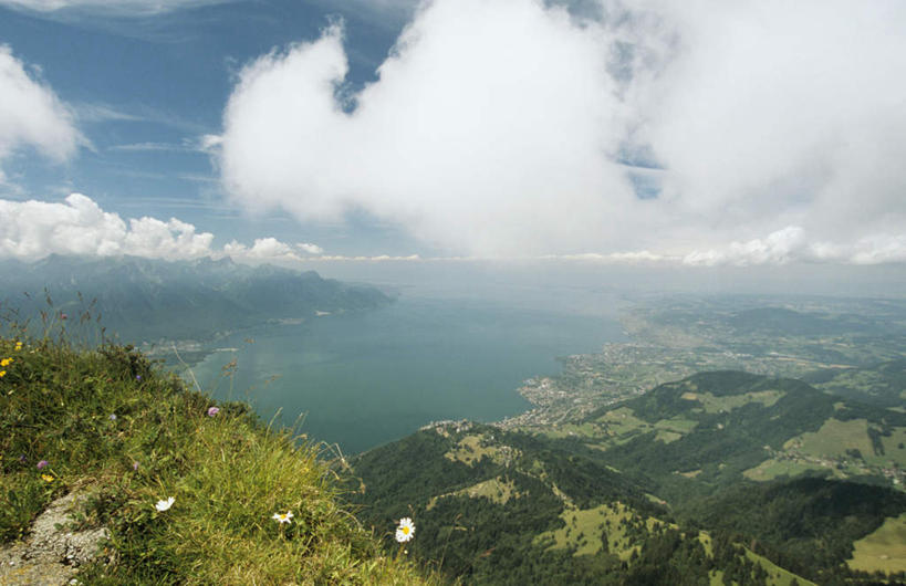 无人,农田,横图,俯视,航拍,室外,白天,旅游,度假,庄稼,农作物,草地,草坪,海浪,海洋,美景,山,山脉,植物,法国,瑞士,欧洲,阴影,朦胧,模糊,光线,影子,景观,浪花,山峰,水平线,云,云朵,辽阔,海平线,山峦,云彩,娱乐,莱蒙湖,草,蓝色,绿色,白云,蓝天,天空,阳光,自然,海水,群山,天,享受,休闲,广阔,景色,放松,晴朗,一望无际,鸟瞰,自然风光,海景,法兰西共和国,法兰西第五共和国,日内瓦湖,瑞士联邦,莱芒湖,无边无际,一马平川,大海,风浪,海,海水的波动,近岸浪,涌浪,晴空,彩图,高角度拍摄,耕地,庄稼田,水天相接,水天一线