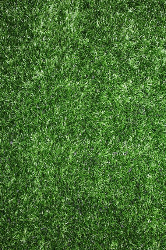 无人,竖图,俯视,室内,特写,白天,草地,草坪,植物,静物,阴影,装饰,反射,影子,草,绿色,假花,摄影,影棚,华丽,修饰,点缀,衬托,美观,雅致,雅观,彩图,高角度拍摄,影棚拍摄,拍摄,仿真花,人造花