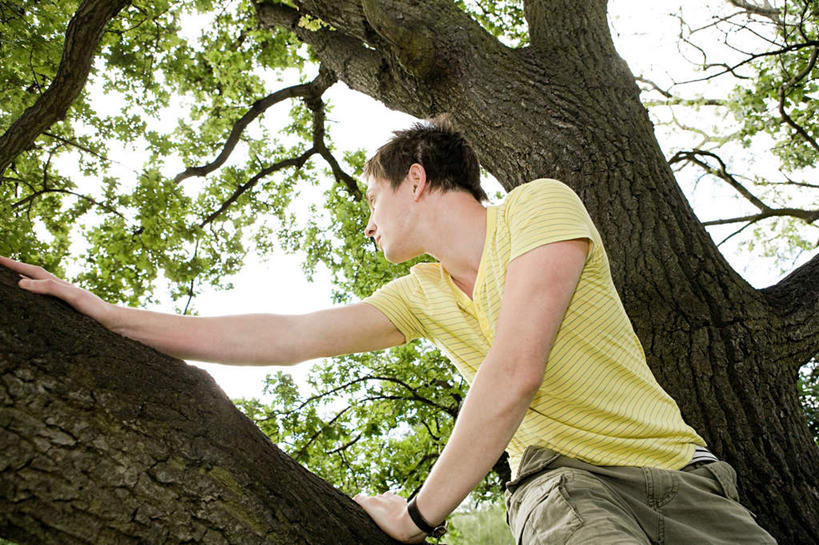 西方人,一个人,坐,攀登,横图,室外,白天,仰视,植物,叶子,欧洲,欧洲人,仅一个男性,仅一个人,服装,绿叶,枝条,扭头,休闲装,树,树木,树枝,仅一个年轻男性,衣服,黄色,绿色,自然,扶,转头,休闲,休闲服,嫩叶,服饰,生长,成长,扶着,虬枝,枝杈,男人,男性,年轻男性,白种人,叶,叶片,攀爬,坐着,半身,彩图,低角度拍摄,攀缘