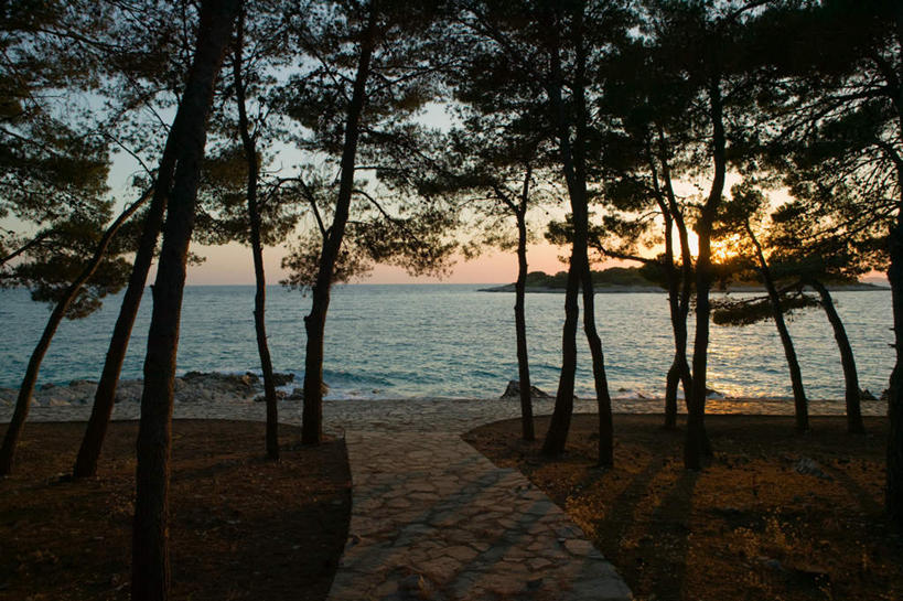 无人,横图,室外,白天,正面,旅游,度假,草地,草坪,海浪,海洋,美景,日落,植物,道路,路,欧洲,克罗地亚,曲折,弯曲,景观,浪花,晚霞,霞光,落日,小路,交通,娱乐,草,树,树木,绿色,自然,海水,黄昏,享受,休闲,景色,彩霞,放松,蜿蜒,生长,成长,自然风光,海景,克罗地亚共和国,夕照,达尔马提亚,达尔马提亚群岛,大海,风浪,海,海水的波动,近岸浪,涌浪,夕阳,彩图,斜阳