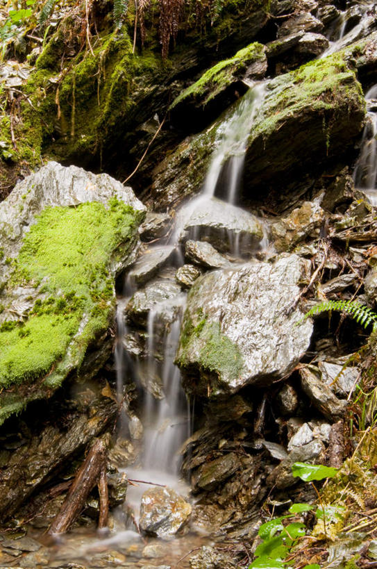 无人,竖图,俯视,室外,白天,旅游,度假,河流,石头,美景,瀑布,山,山脉,水,叶子,华盛顿,美国,飞溅,溅,石子,液体,河水,景观,山峰,水滴,水流,青苔,绿叶,苔藓,山峦,娱乐,水珠,小溪,自然,群山,溪水,享受,休闲,嫩叶,景色,放松,北美,北美洲,喷洒,自然风光,美洲,华盛顿州,常绿之州,常青州,北亚美利加洲,亚美利加洲,喀斯喀特山脉,北喀斯喀特山国家公园,北卡斯卡德山国家公园,北喀斯开国家公园,北瀑布国家公园,叶,叶片,跌水,石块,岩石,彩图,高角度拍摄