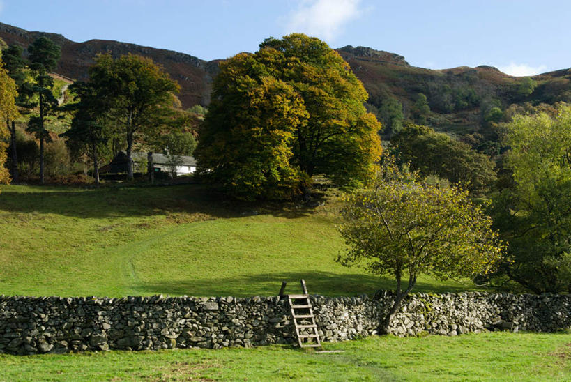 无人,攀登,横图,室外,白天,正面,旅游,度假,草地,草坪,美景,山,山脉,树林,植物,英国,欧洲,梯子,阶梯,木梯,景观,山峰,云,云朵,山峦,云彩,娱乐,英格兰,草,树,树木,蓝色,绿色,白云,蓝天,天空,自然,群山,天,享受,休闲,爬,景色,放松,生长,晴朗,成长,上升,西欧,自然风光,大不列颠,大不列颠及北爱尔兰联合王国,登高,大不列颠联合王国,日不落英帝国,英吉利,坎布里亚,坎布里亚郡,晴空,攀爬,彩图