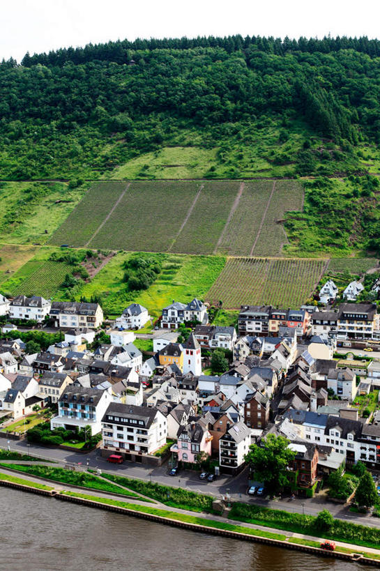 无人,家,果园,农田,竖图,俯视,航拍,室外,白天,度假,庄稼,农作物,草地,草坪,美景,田园,植物,城市风光,城市,德国,欧洲,一排,许多,阴影,整齐,光线,影子,房屋,屋子,景观,娱乐,楼房,葡萄园,架子,住宅,草,树,树木,排列,蓝色,绿色,蓝天,天空,阳光,自然,庄园,天,享受,休闲,景色,放松,生长,晴朗,成长,支撑,固定,西欧,鸟瞰,队列,葡萄架,万里无云,德意志联邦共和国,摆列,莱茵河,摩泽尔河,莫塞勒河,支流,晴空,晴空万里,彩图,高角度拍摄,耕地,庄稼田,房子,布列,分列