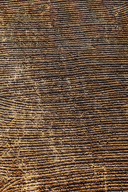 无人,农田,竖图,俯视,航拍,室外,白天,旅游,度假,庄稼,农作物,美景,非洲,埃及,纹路,纹理,景观,娱乐,自然,享受,休闲,景色,放松,古埃及,鸟瞰,自然风光,北非,肌理,阿拉伯埃及共和国,金字塔之国,棉花之国,阿非利加洲,彩图,高角度拍摄,耕地,庄稼田