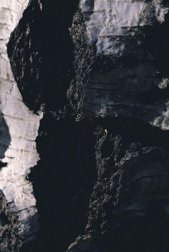 无人,竖图,室外,特写,白天,正面,植物,树皮,树桩,树,树干,树木,绿色,自然,木桩,生长,成长,彩图