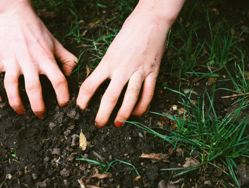 西方人,手,一个人,横图,俯视,室外,特写,白天,草地,草坪,植物,欧洲,欧洲人,双手,仅一个年轻女性,仅一个女性,仅一个人,泥土,土壤,草,绿色,手部,抓,肮脏,抓着,邋遢,龌龊,污秽,年轻女性,女人,女性,白种人,半身,彩图,高角度拍摄