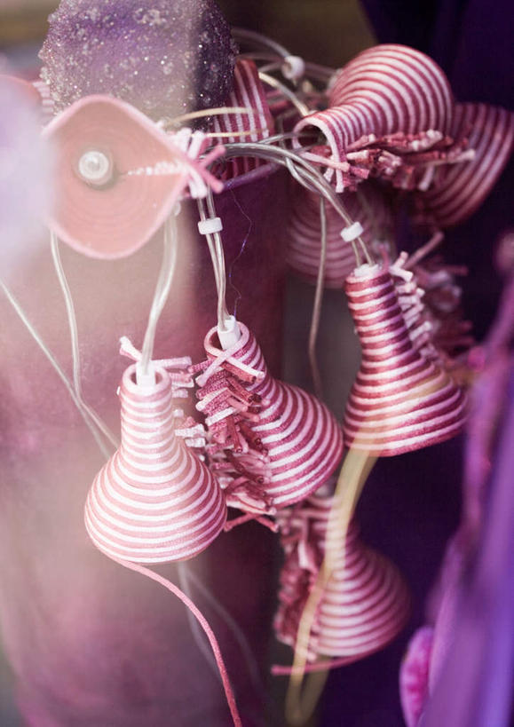 无人,竖图,室内,特写,白天,正面,窗户,落地窗,橱窗,静物,圣诞节,悬挂,节日,庆祝,装饰,挂,文化,玻璃窗,装饰品,装饰物,庆典,纪念,彩图