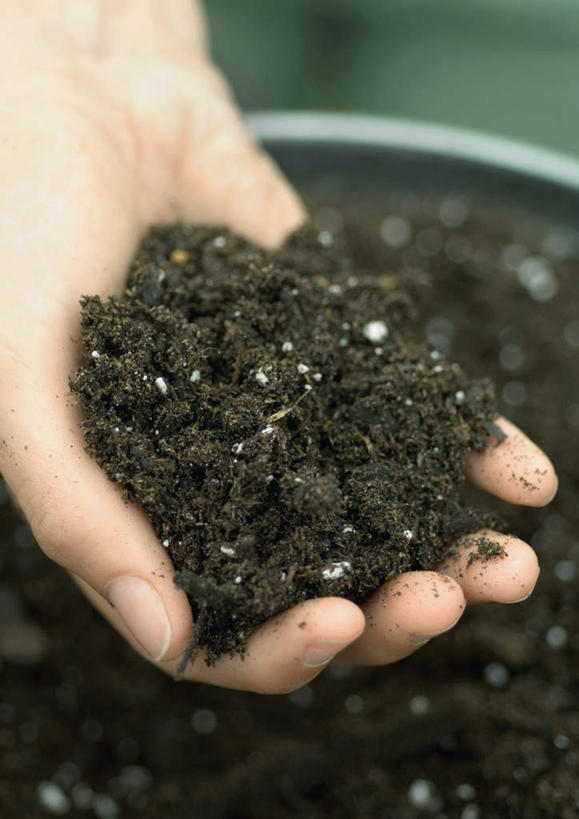 西方人,手,一个人,捧,竖图,俯视,室外,特写,白天,旅游,度假,欧洲,欧洲人,仅一个年轻女性,仅一个女性,仅一个人,握,朦胧,模糊,铁桶,桶,泥土,园艺,拿,拿着,娱乐,容器,享受,休闲,手部,放松,握着,储藏,储存,户外运动,年轻女性,女人,女性,白种人,园丁,端,端着,捧着,手捧,半身,彩图,高角度拍摄,贮存