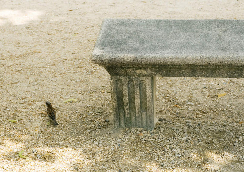 无人,横图,俯视,室外,白天,旅游,度假,美景,椅子,阴影,光线,影子,景观,泥土,土壤,地面,娱乐,阳光,自然,享受,休闲,石椅,景色,放松,自然风光,彩图,高角度拍摄