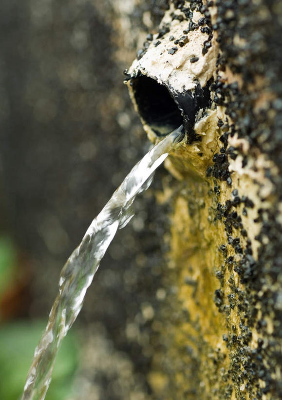 无人,竖图,室外,特写,白天,正面,旅游,度假,美景,飞溅,溅,管子,液体,景观,青苔,苔藓,娱乐,自然,享受,休闲,景色,放松,喷洒,自然风光,彩图