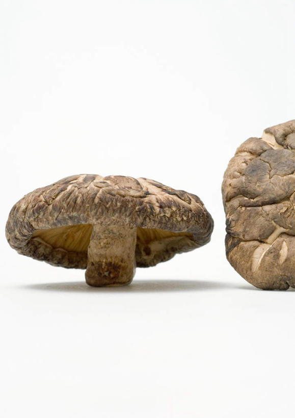 无人,竖图,室内,特写,白天,白色背景,正面,桌面,桌子,蔬菜,新鲜,干燥,菌菇,香菇,食品,棕色,菌类,食物,一个,食用菌,摄影,有机食品,绿色食品,影棚,单个,晾干,彩图,影棚拍摄,拍摄