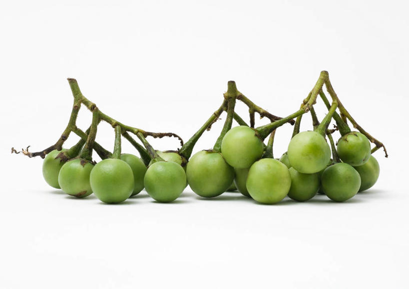 无人,横图,室内,特写,白天,白色背景,正面,桌面,桌子,茄子,蔬菜,一堆,许多,堆叠,堆积,新鲜,食品,食物,绿色,摄影,有机食品,绿色食品,影棚,堆,泰国食品,落苏,酪酥,昆仑瓜,矮瓜,彩图,影棚拍摄,拍摄