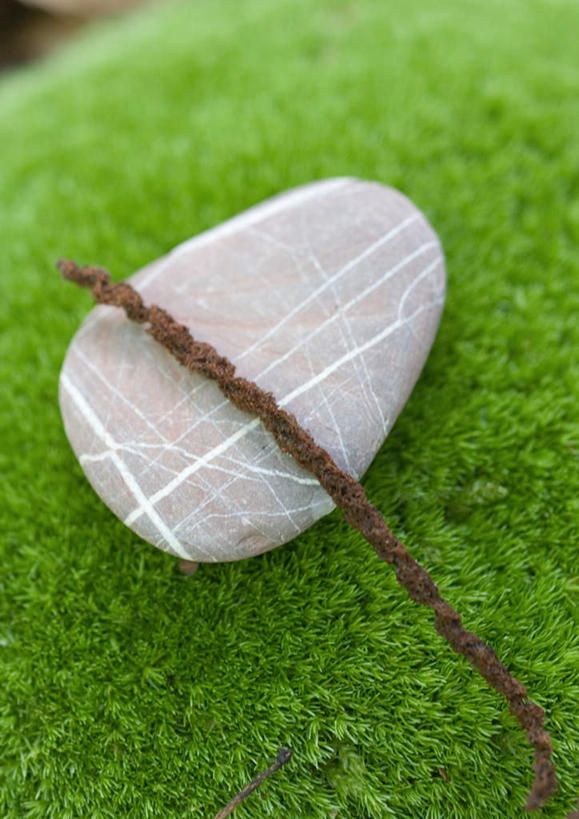 无人,竖图,俯视,室外,特写,白天,旅游,度假,草地,草坪,石头,美景,植物,条纹,石子,纹理,草丛,景观,苔藓,娱乐,草,树枝,一个,绿色,自然,享受,休闲,鹅卵石,景色,放松,单个,自然风光,肌理,石块,岩石,彩图,高角度拍摄