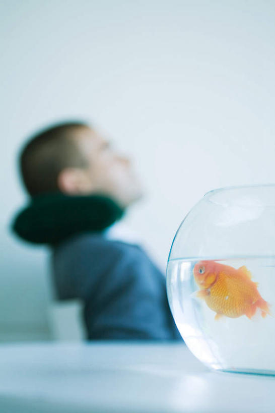 西方人,一个人,商务人士,商务男性,坐,竖图,室内,特写,白天,侧面,衬衫,桌子,欧洲,欧洲人,仅一个男性,仅一个人,一条,套装,金鱼,办公桌,鱼缸,注视,玻璃制品,仅一个年轻男性,玻璃瓶,观察,看,金色,观看,察看,关注,水生动物,商务装,工薪阶层,海底动物,颈托,男人,男性,年轻男性,白种人,白领,上班族,坐着,半身,彩图,衬衣