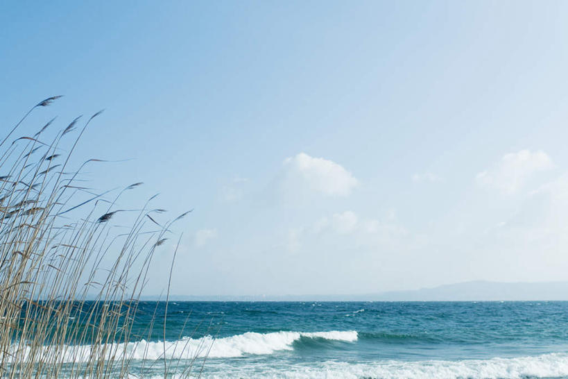 无人,横图,室外,白天,正面,旅游,度假,海浪,海洋,美景,沙滩,植物,枯萎,沙子,海岸,景观,浪花,水平线,云,云朵,辽阔,枯草,海平线,沙地,云彩,娱乐,草,黄色,蓝色,白云,蓝天,天空,自然,海水,天,享受,休闲,广阔,景色,放松,晴朗,一望无际,自然风光,海景,无边无际,一马平川,大海,风浪,海,海水的波动,海滩,近岸浪,涌浪,晴空,彩图,水天相接,水天一线