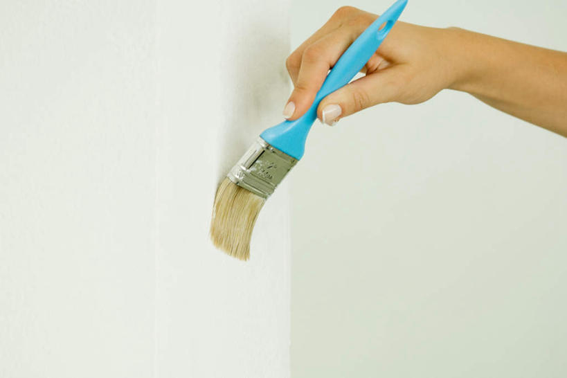 西方人,手,一个人,横图,室内,特写,白天,正面,欧洲,欧洲人,仅一个男性,仅一个人,服装,墙,拿,刷,拿着,休闲装,墙壁,墙面,仅一个年轻男性,衣服,刷子,休闲,手部,休闲服,服饰,男人,男性,年轻男性,白种人,半身,彩图