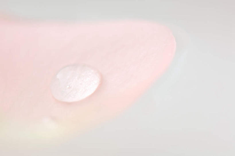 无人,横图,俯视,室内,特写,白天,白色背景,水,玫瑰,两片,盛开,透明,液体,水滴,水面,花蕾,水珠,花,花瓣,花朵,鲜花,白色,花苞,花蕊,摄影,影棚,蔷薇,彩图,高角度拍摄,影棚拍摄,拍摄