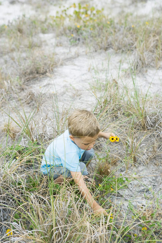 西方人,儿童,一个人,蹲,笑,微笑,露齿笑,竖图,俯视,室外,白天,游戏,纯洁,采摘,草地,草坪,花海,花圃,植物,叶子,欧洲,欧洲人,仅一个男性,仅一个人,许多,握,短裤,盛开,拿,玩,T恤,花蕾,拿着,注视,娱乐,草,花,花瓣,花朵,鲜花,小孩,绿色,花丛,花束,花田,花苞,花蕊,采,观察,看,摘,仅一个小孩,休闲,短袖,可爱,童年,童趣,凝视,握着,查看,注意,关注,童真,烂漫,无邪,天真,男孩,男人,男性,白种人,孩子,蹲着,玩耍,嬉戏,彩图,高角度拍摄,全身,男生