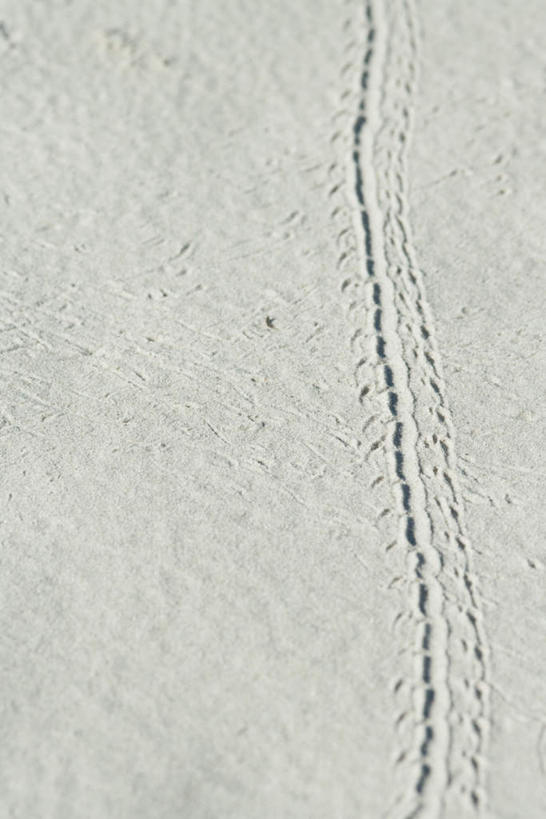 无人,竖图,俯视,室外,特写,白天,美景,沙滩,一条,裂痕,沙子,海岸,景观,沙地,痕迹,自然,景色,自然风光,沙画,海滩,彩图,高角度拍摄