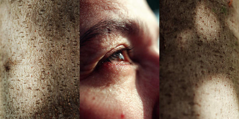 西方人,脸,头,眼睛,脸颊,眉毛,一个人,无人,站,横图,室内,特写,白天,正面,数码,科技,欧洲,欧洲人,仅一个男性,仅一个人,阴影,光线,网络,影子,高光,几何,计算机图形,合成,注视,仅一个年轻男性,阳光,观察,看,站着,凝视,观看,电脑合成图,数码合成图,察看,结合,关注,写实,具体,具象,联合,拼贴画,男人,男性,年轻男性,白种人,头部,脸部,脸蛋,眉,面部,眼眉,抬头,仰头,站立,半身,彩图,眼眉毛